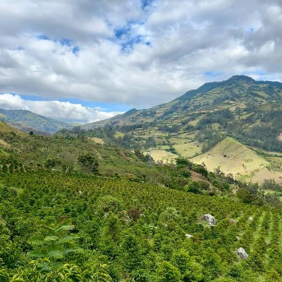 El Obraje, Colombia