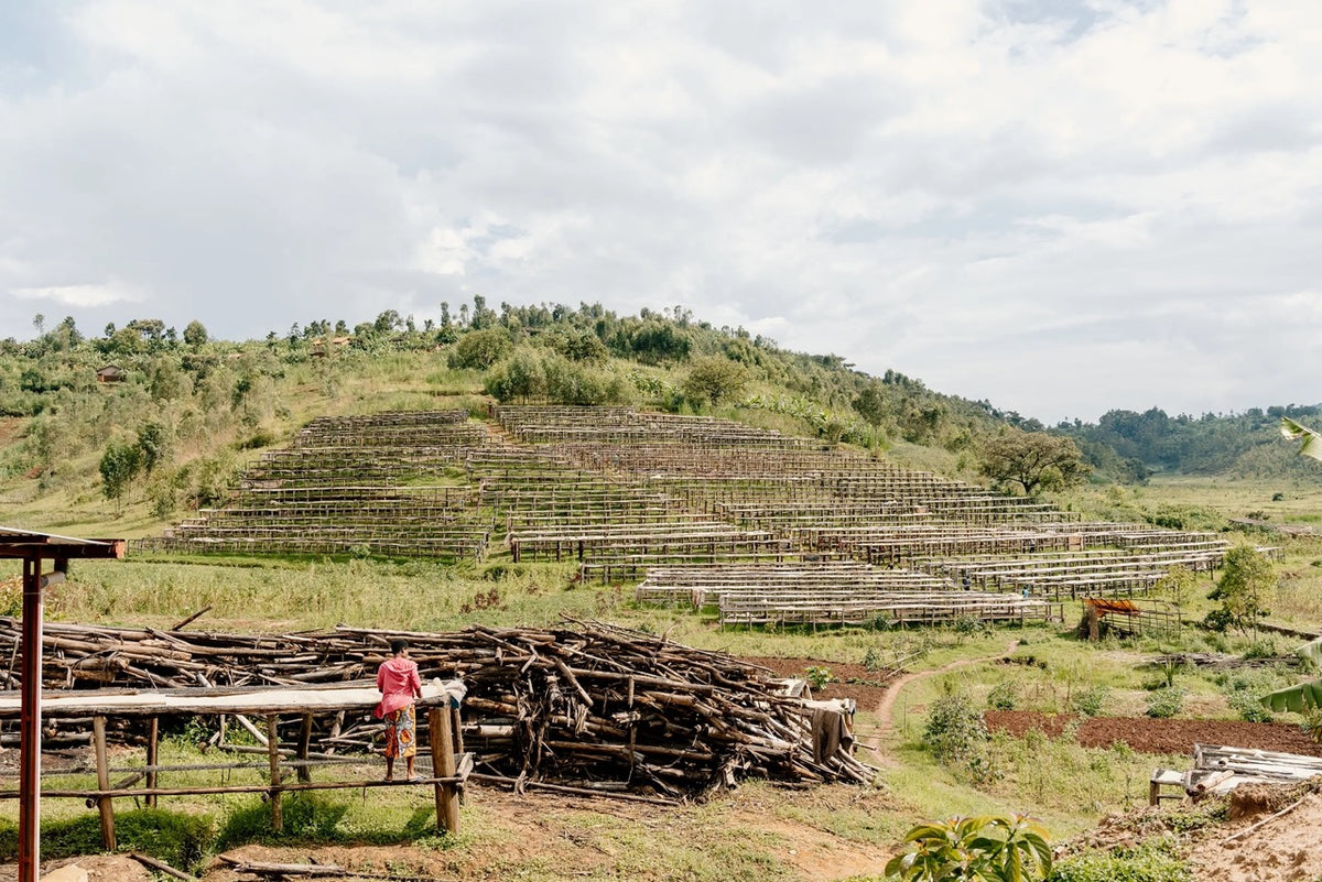 Long Miles, Burundi