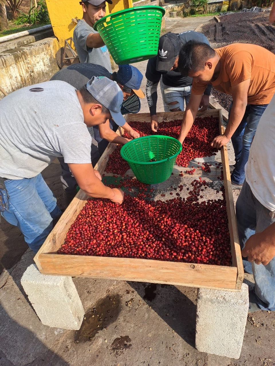 Mario Aguirre, Guatemala