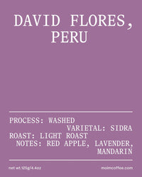 David Flores, Peru