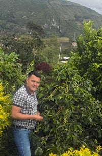 Brisa Eterna, Colombia